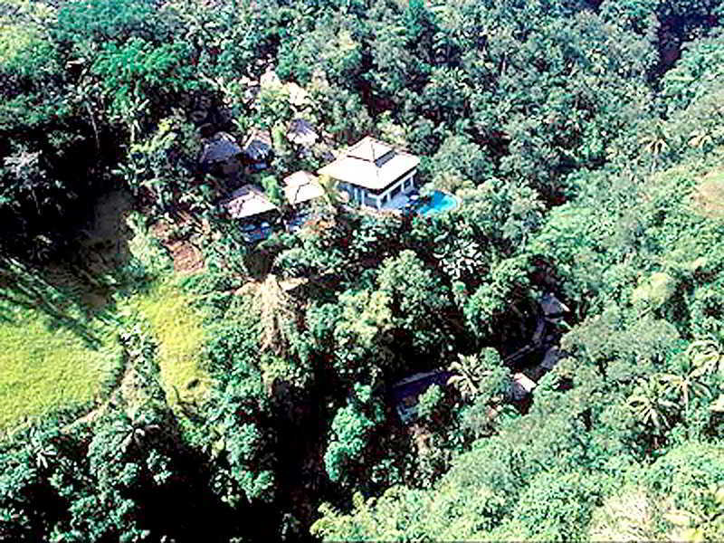 Natura Villa Ubud Buitenkant foto