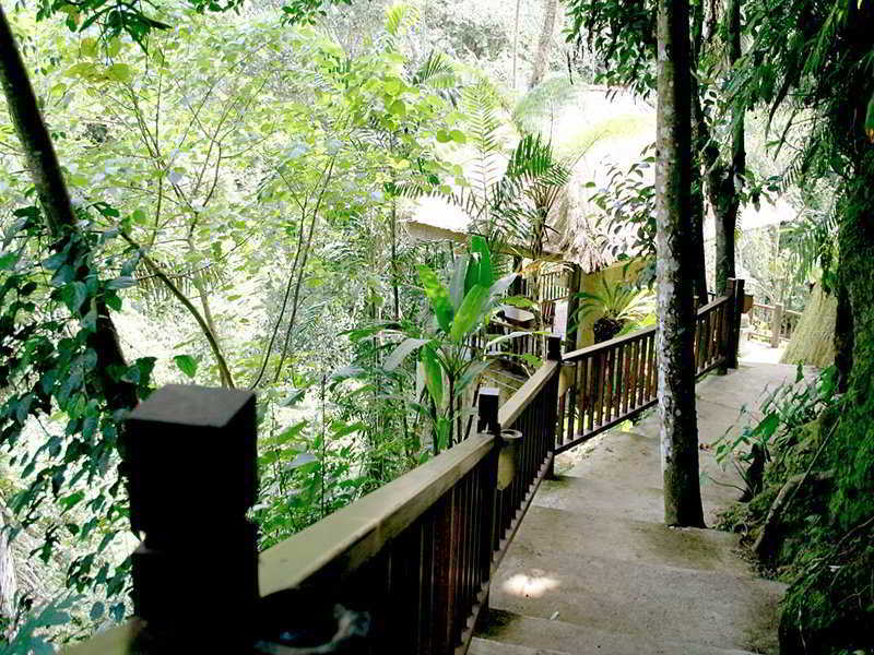 Natura Villa Ubud Buitenkant foto